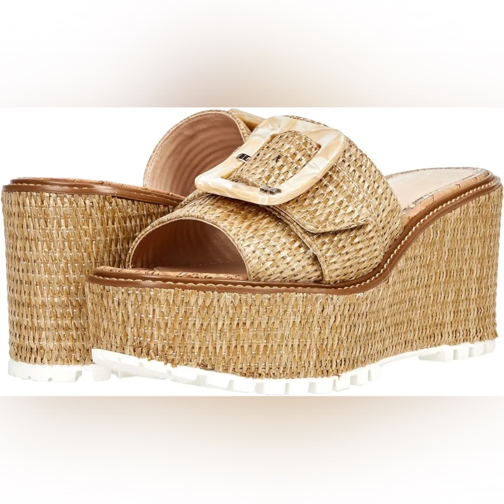 Sam Edelman Buckle Wedges